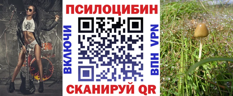 купить наркотик  гидра зеркало  Галлюциногенные грибы мухоморы  Братск 